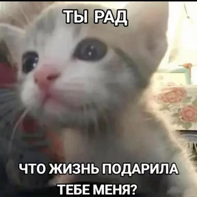 рабочие будни ТСП — стикер для MAX