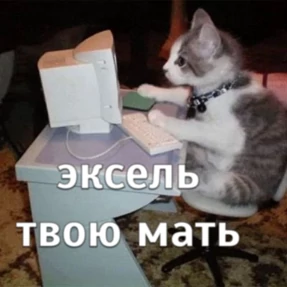 рабочие будни ТСП — стикер для MAX