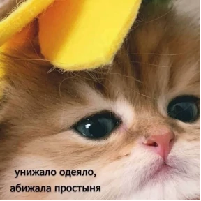 Смешнявки — стикер для MAX