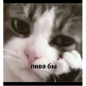 Мои — стикер для MAX