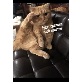 Мои — стикер для MAX