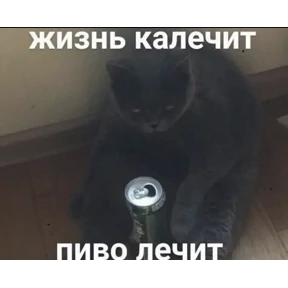 Мои — стикер для MAX