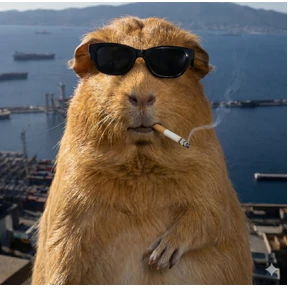 Guinea pigs by Den — стикер для MAX