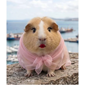 Guinea pigs by Den — стикер для MAX
