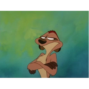 timon — стикер для MAX