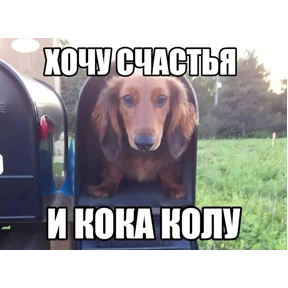 Стикеры — стикер для MAX