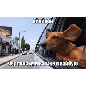 Стикеры — стикер для MAX