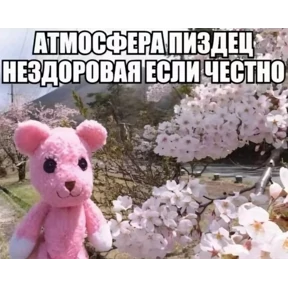 Стикеры — стикер для MAX