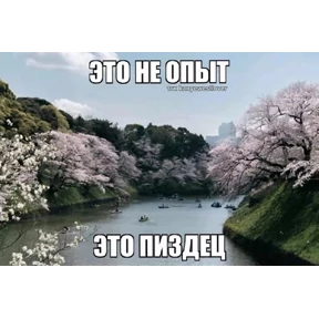 Стикеры — стикер для MAX