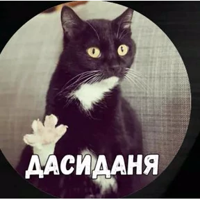 Ооо — стикер для MAX