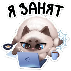 Стикер