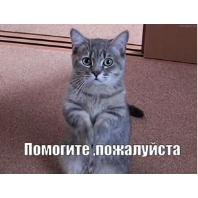 спороч кароч! — стикер для MAX