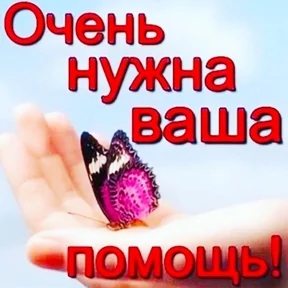 спороч кароч! — стикер для MAX
