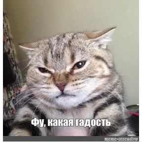 спороч кароч! — стикер для MAX