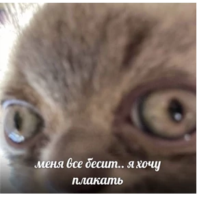 Стикер 32 из набора кристинкины