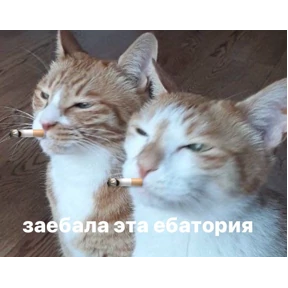 Стикер 31 из набора кристинкины