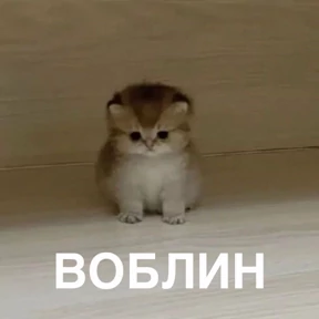 Стикер 34 из набора кристинкины