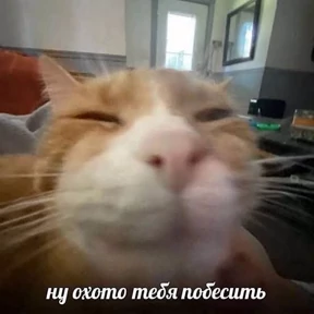 спороч кароч! — стикер для MAX