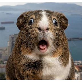 Guinea pigs by Den — стикер для MAX