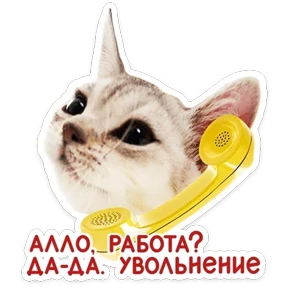 КотоПесики — стикер для MAX