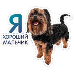 КотоПесики — стикер для MAX