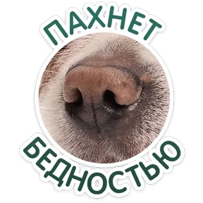 Стикер 6 из набора КотоПесики