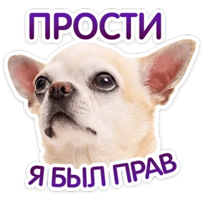 Стикер 7 из набора КотоПесики