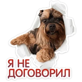Стикер 9 из набора КотоПесики