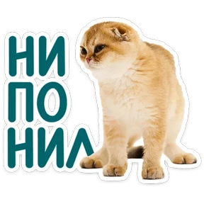 Стикер 16 из набора КотоПесики