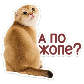 Стикер 18 из набора КотоПесики