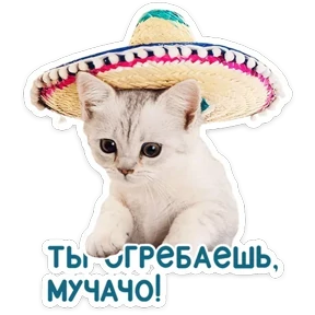Стикер 20 из набора КотоПесики