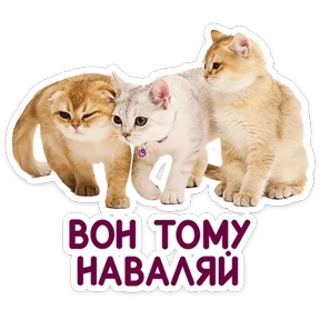 Стикер 25 из набора КотоПесики
