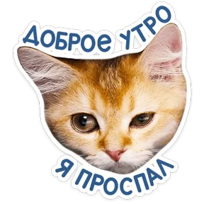 Стикер 26 из набора КотоПесики