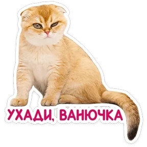 Стикер 28 из набора КотоПесики