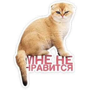 Стикер 34 из набора КотоПесики