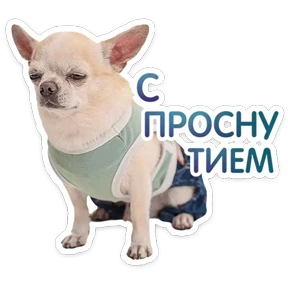 Стикер 32 из набора КотоПесики