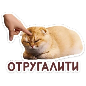 Стикер 35 из набора КотоПесики