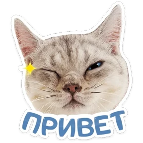 Стикер 36 из набора КотоПесики