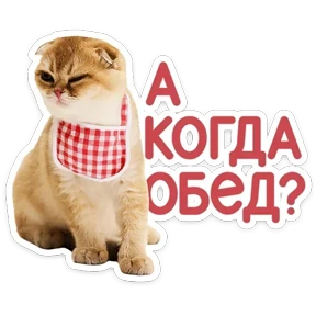Стикер 39 из набора КотоПесики