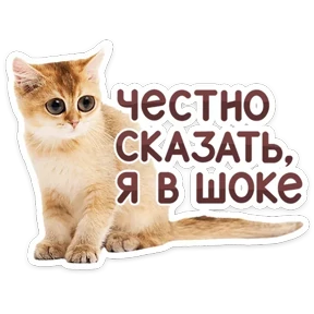 Стикер 43 из набора КотоПесики