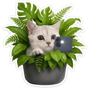 Стикер 50 из набора КотоПесики