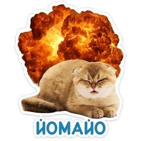 Стикер 51 из набора КотоПесики