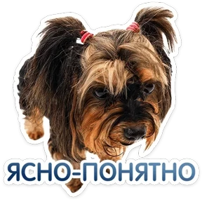 Стикер 55 из набора КотоПесики
