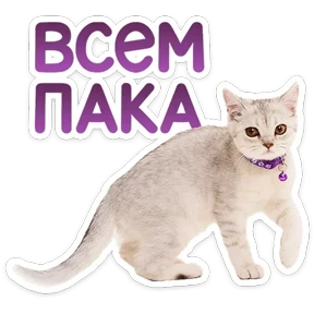 Стикер 57 из набора КотоПесики