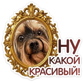 Стикер 60 из набора КотоПесики