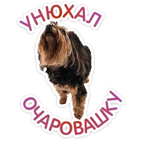 Стикер 64 из набора КотоПесики