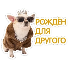 Стикер 62 из набора КотоПесики