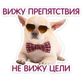 Стикер 67 из набора КотоПесики