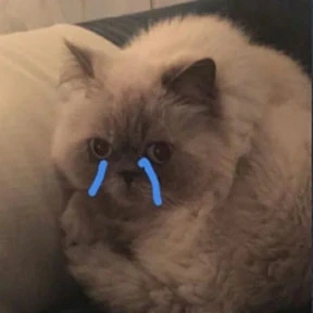 Коты — стикер для MAX
