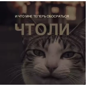 Рабочие муды — стикер для MAX